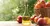 VINAGRE DE MANZANA ORGANICO X 250 ML - PAMPAGOURMET - comprar online
