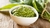 PESTO ORGANICO X170 GR - PAMPAGOURMET en internet