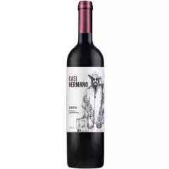 Vinho-vinhos-e-bebidas-do-sul-bom-barato-perfeito-nacional-importado-promoção-oferta-desconto--vinicola-serra-gaúcha-10 x-sem juros-promoção-barato-rio-grande-sul-uva-harmonização-sabor-aromático-regiões-10 x-sem juros-promoção-encorpado-forte-intenso-res