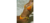 Carrusel 3