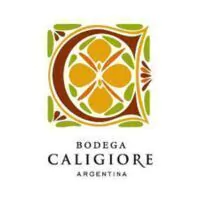 Marca 10 de Organic Wine Argentina