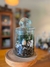 Terrario 1 cilindro totoro - comprar online