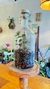 Terrario botellones - comprar online