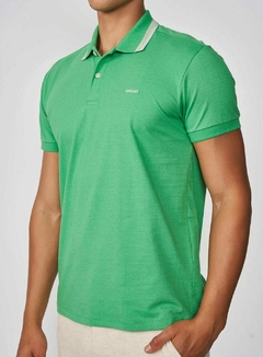 POLO COLCCI P VERDE DILLE