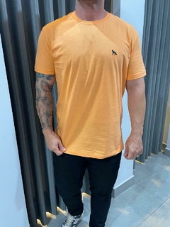 CAMISETA CASUAL MASC MC SWEET ORANGE - comprar online