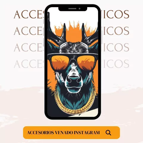 Accesorios.VT