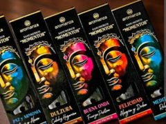 MOMENTOS AROMANZA - comprar online