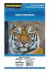 Papel Fotográfico Glossy 230g/m² A4 Pacote com 50 Folhas - Masterprint