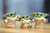 Baby Yoda Blister Set X5 Figuras 6 Cm Bebé Yoda Star Wars - Tienda Mirlo