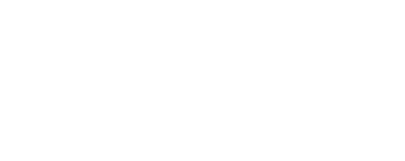 Crucial Calçados
