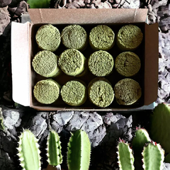 Bomba Carbón de citronella y naranja - comprar online