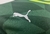 Imagen de Palmeiras Home 23/24