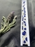 Chocker "Blue Animal" en internet