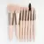 Set x8 brochas en internet