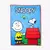 Kit Manta com balde Snoopy na internet