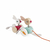 Coelhos para passear com rodinhas – Janod - Taki Brinquedos