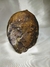 Geodo de Ágata Roxa - comprar online