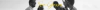 Banner Blindado Eyewear