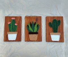TRIO DE CACTUS 20X30