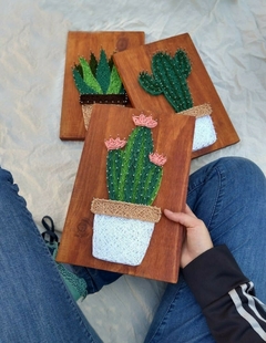 TRIO DE CACTUS 20X30 - comprar online