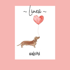 Banner de la categoría Línea Salchi 