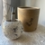 Mate Arte