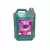 DESINFETANTE 5LITROS - VIGUT - comprar online