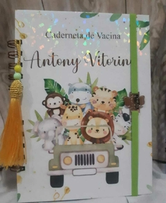 Caderneta de Vacina