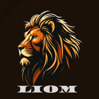 Tienda LIOM