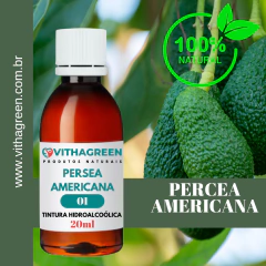 01 - PERSEA AMERICANA - TINTURA HIDROALCOÓLICA - 20ML