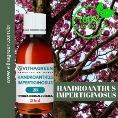 28 - HANDROANTHUS IMPERTIGINOSUS - TINTURA HIDROALCOÓLICA - 20ML