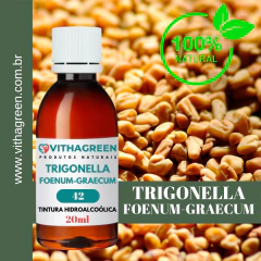 42 - TRIGONELLA FOENUM-GRAECUM - TINTURA HIDROALCOÓLICA - 20ML