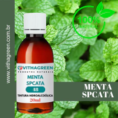 48 - MENTA SPCATA - TINTURA HIDROALCOÓLICA - 20ML