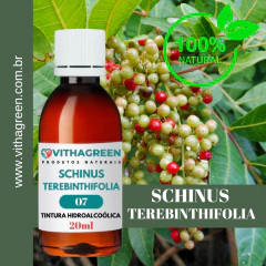 07 - SCHINUS TEREBINTHIFOLIA - TINTURA HIDROALCOÓLICA - 20ML