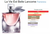 La vie est belle Eau de Parfum de Lancôme - comprar online