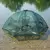 Imagen de Trampa para Mojarras Plegable 6 Bocas - Morgul Original