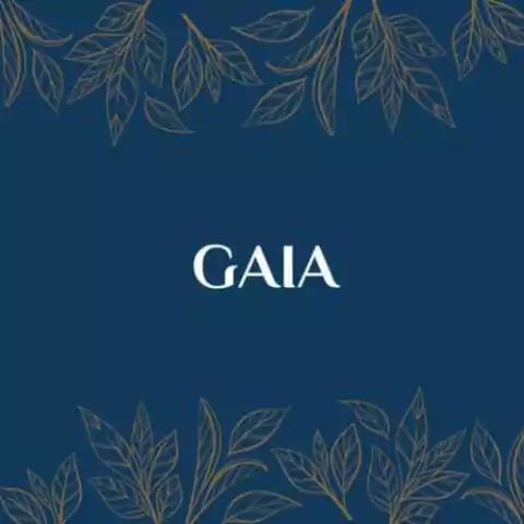 GAIA INDUMENTARIA
