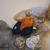 Borboleta historis odius - comprar online