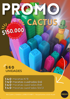 Combo 560 Macetas cactus