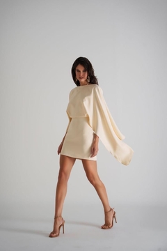 Vestido Curto Marrom Lia na internet