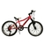.R20 MTB *FIREBIRD* 7 VEL FRENO DISCO TRASERO, VARIOS