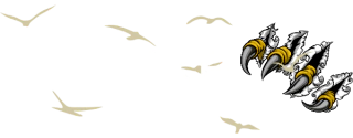 DELUXE