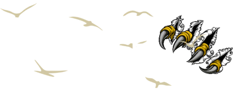 DELUXE