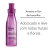 Ameixa e Flor de Baunilha - Kit Natura TodoDia Feminino - comprar online