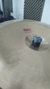 Imagen de China Silken 16" (Usado)