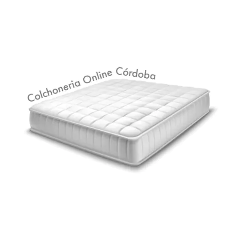 Colchoneria Online Cordoba