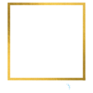 Estética Global