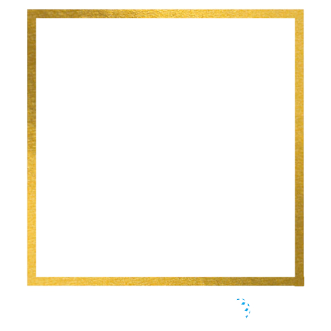 Estética Global