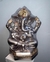Ganesh Lila