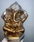 Ganesh Dorado